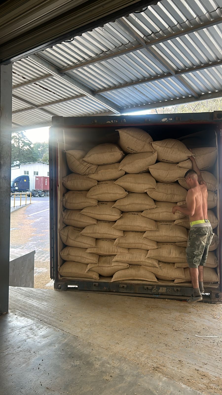 Worker loading sacks into the container