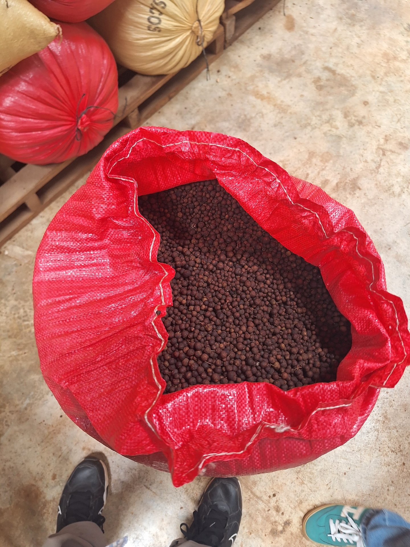 Open red sack of allspice