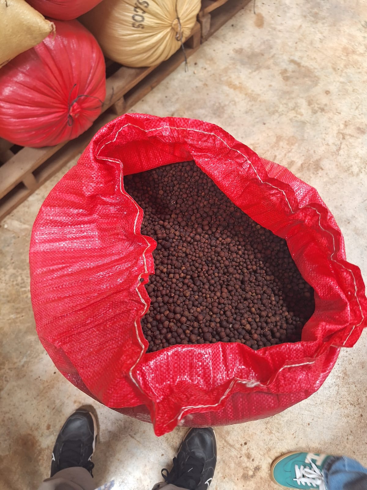 Open red sack of allspice in warehouse