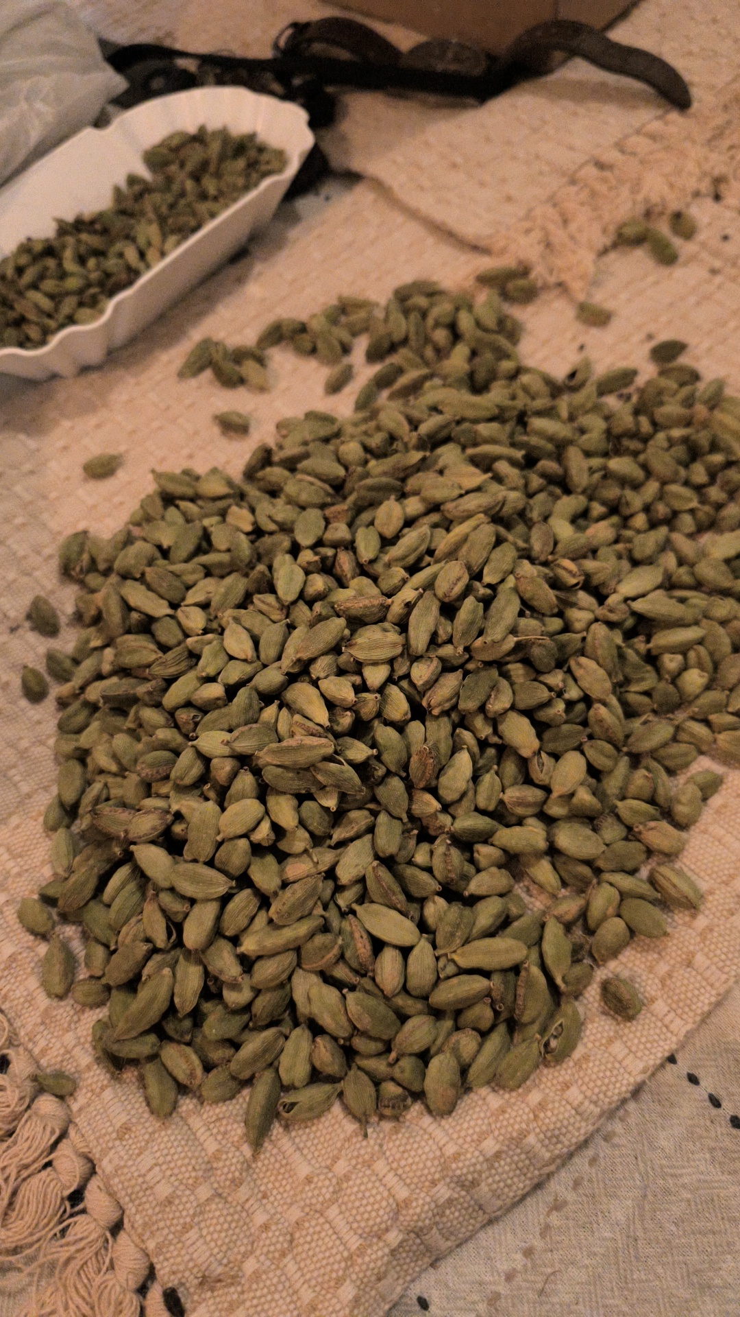 Freshly hand-sorted green cardamom pods on traditional Guatemalan weave