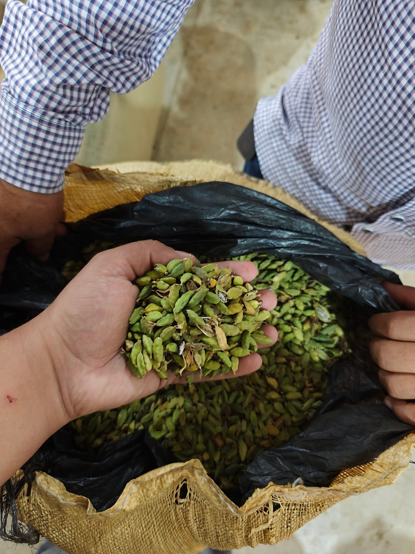 Bulk green cardamom in sack