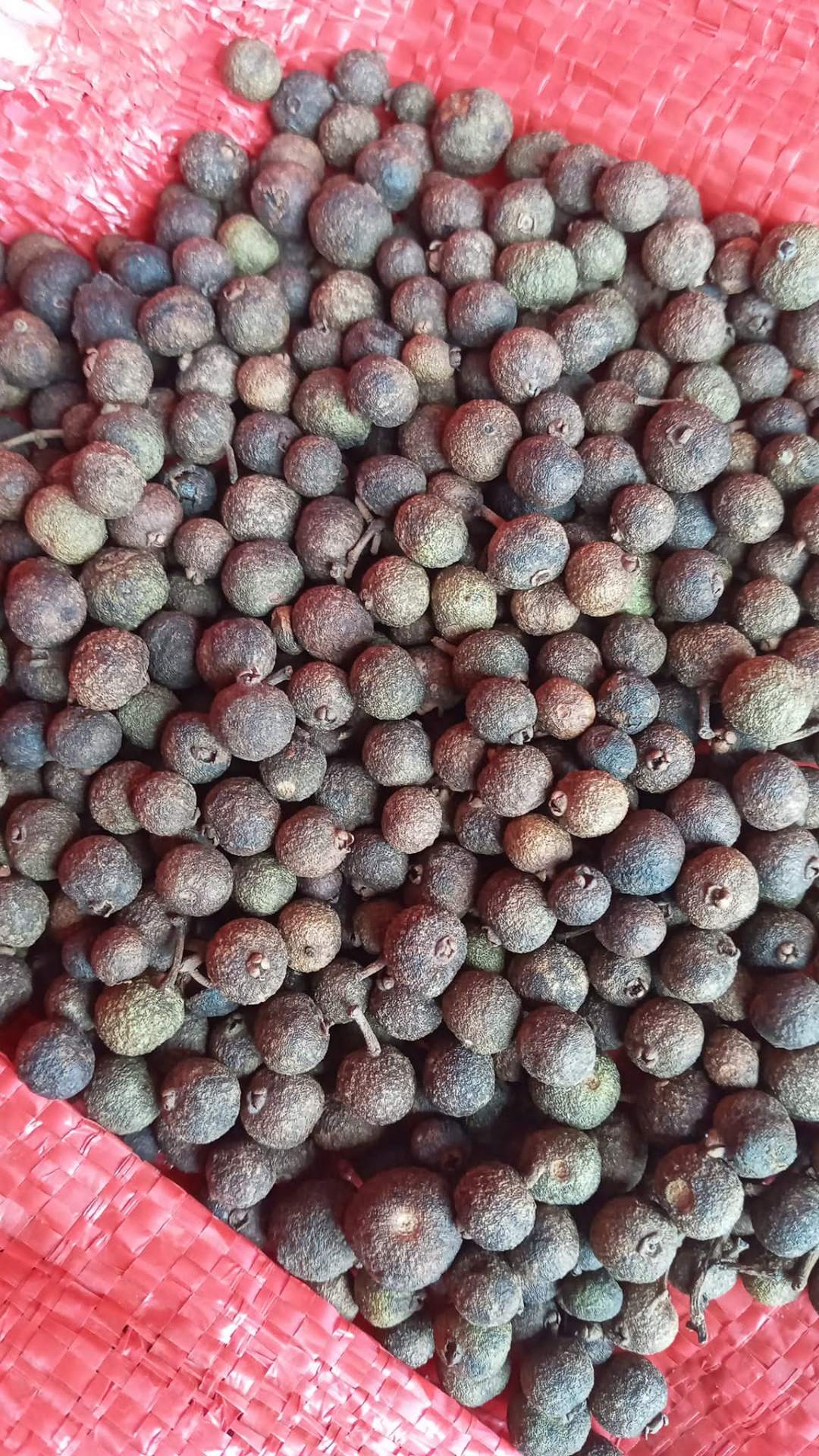 Allspice berries close-up