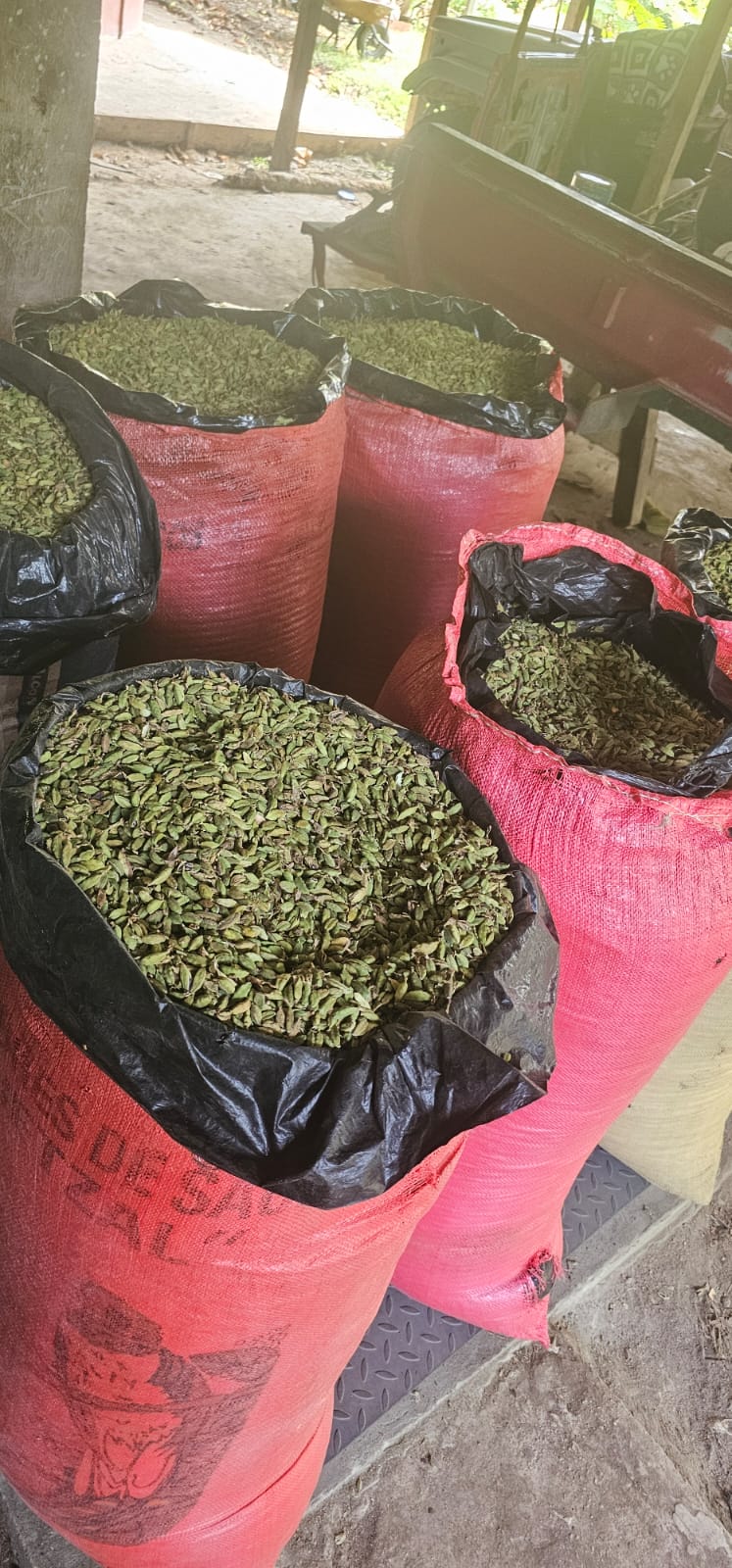Export-ready sacks at our warehouse