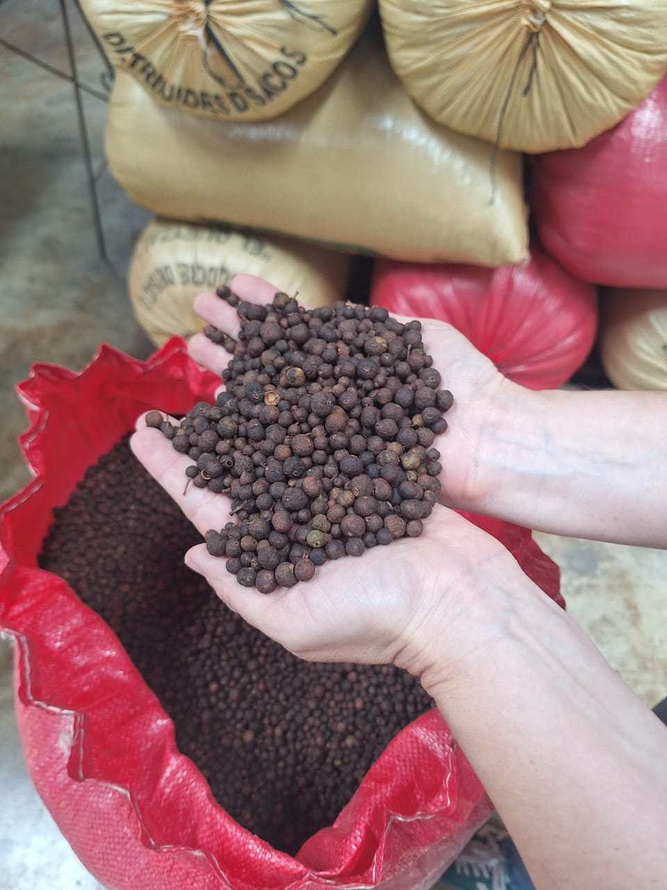 Hands holding allspice with sacks in background