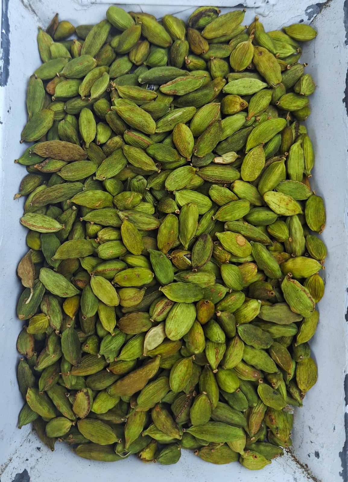 Cardamomo Verde — Large 7–8 mm