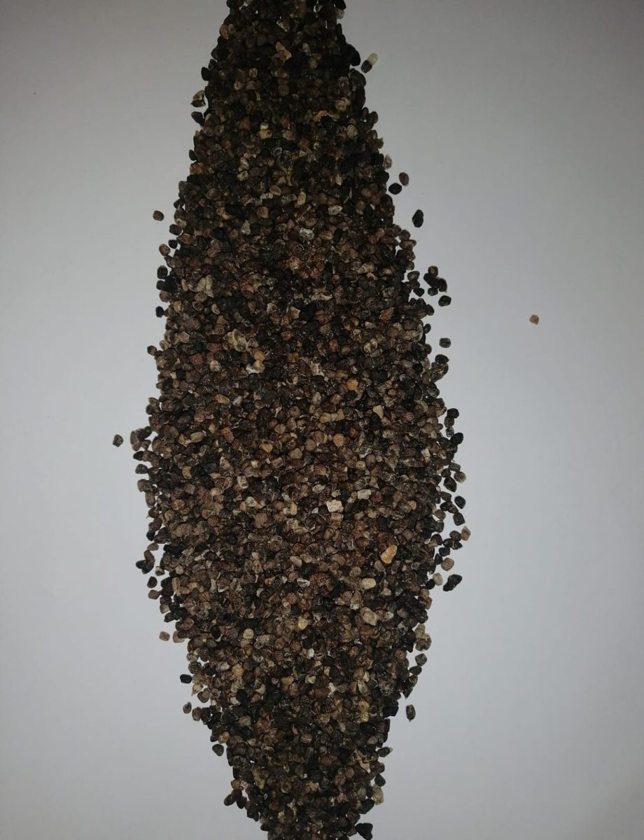 Cardamomo Verde — Semillas Decorticadas