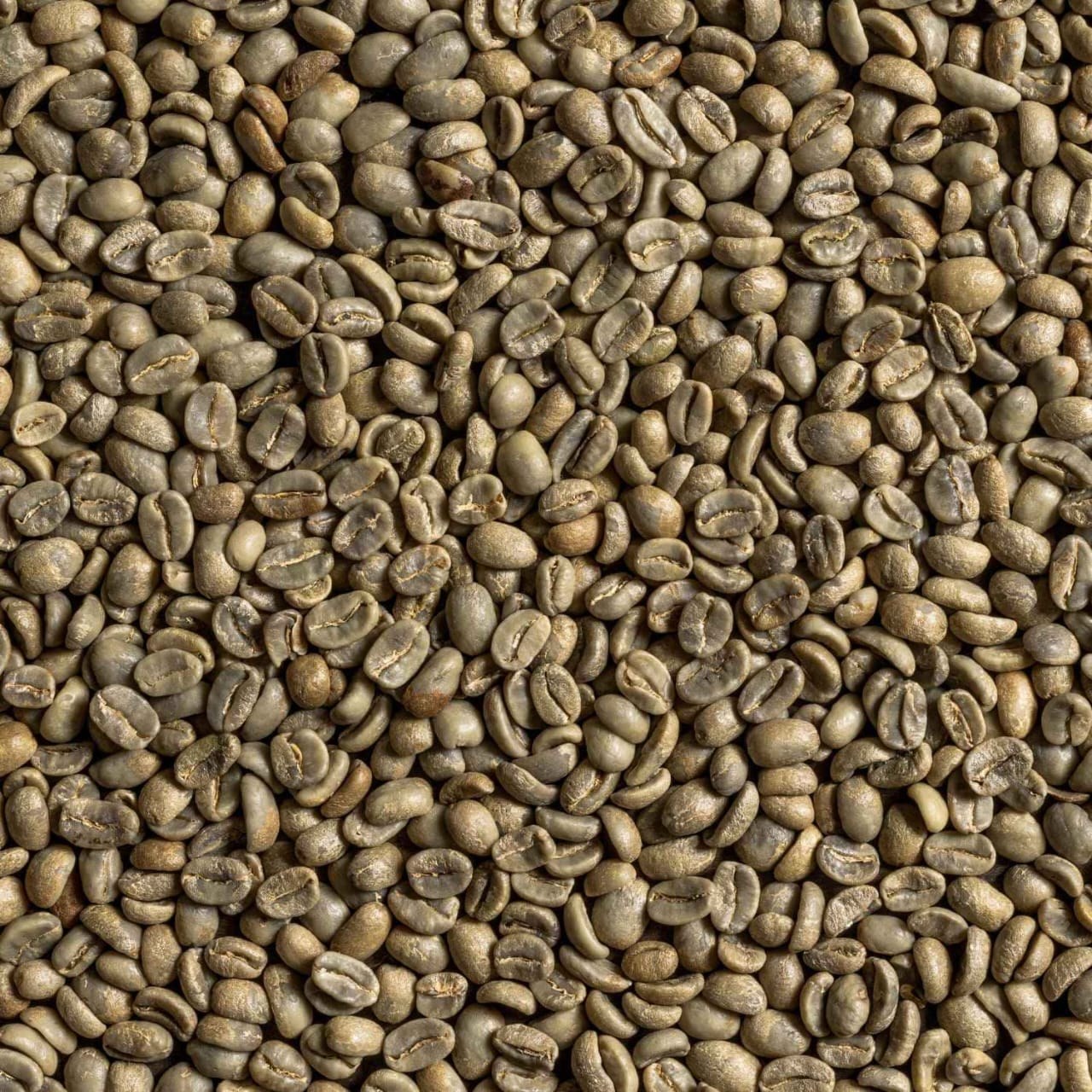 Café Verde — Arábica Lavado
