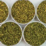 2OYJFB2PQISONNU4ONUU2XAZJY-1024x461