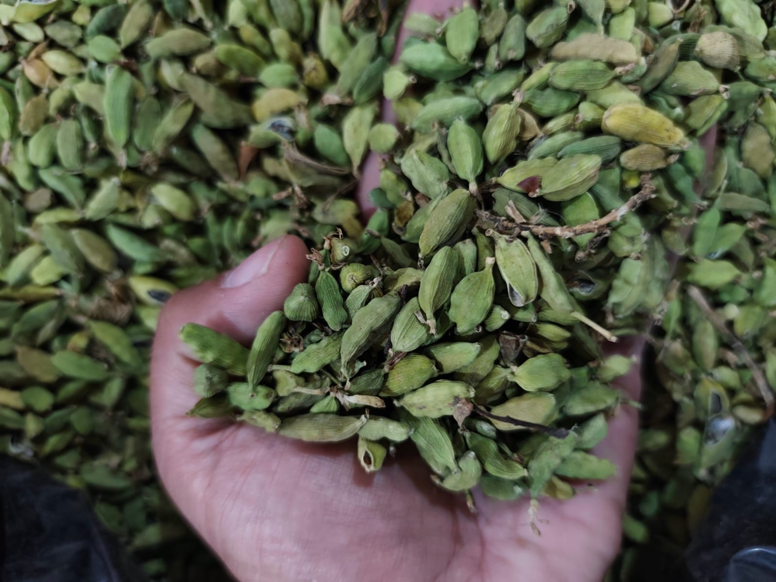 Imagen de WhatsApp 2025-12-02 a las 04.04.34_622b383d