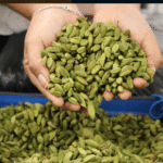 cardamomo